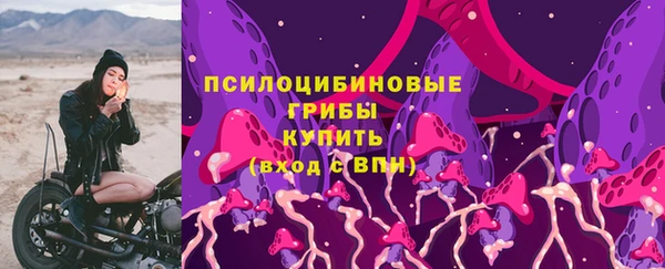 соль курить ск Арсеньев
