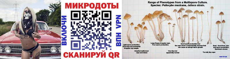 Галлюциногенные грибы Magic Shrooms  Кубинка 