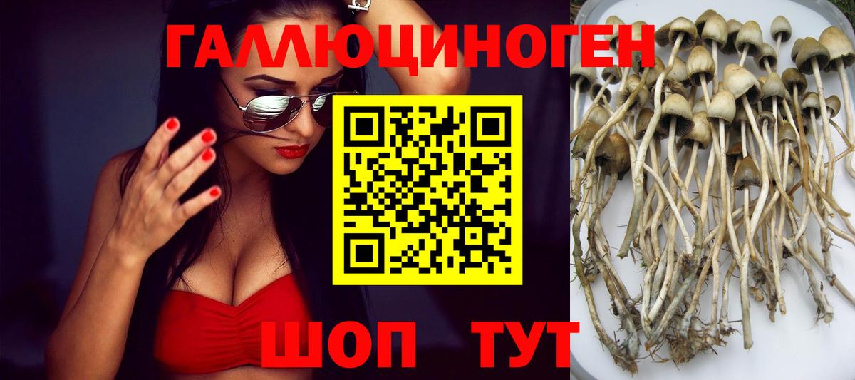 Псилоцибиновые грибы мицелий Кубинка